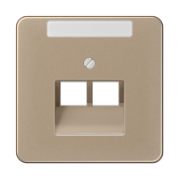 JUNG CD 500/CD plus Бронза Накладка 2-ой наклонной ТЛФ/комп розетки с полем для надписи