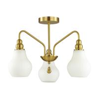 Потолочная люстра Lumion Moderni Eleonora 4562/3C