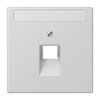 JUNG LS 990 Светло-серая Накладка 1-ой наклонной ТЛФ/комп розетки с полем для надписи