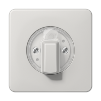 JUNG Накладка поворотного механизма светло-серая