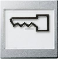 Gira Клавиша с полем для надписи 37*47 мм  и символом "дверь"