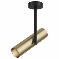 Потолочный светильник C020CL-01GB Maytoni Elti