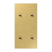 JUNG LS1912 Латунь классик Центральная плата, 2 поста, для вертикальной установки, тумблеры 2+2,цилиндр; метал. исполнение