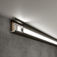 Накладной алюминиевый профиль черный/черный для светодиодной ленты LL-2-ALP006 Elektrostandard LL-2-ALP006 a053618 Накладной алюминиевый профиль черный/черный для светодиодной ленты LL-2-ALP006 Elektrostandard LL-2-ALP006 a053618