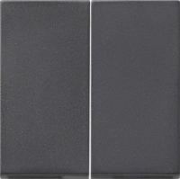 Gira Накладка выключателя двойная