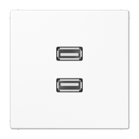 JUNG Мультимедиа разъём 2 x USB