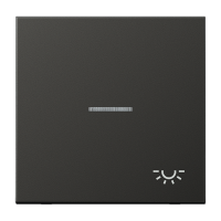 JUNG Клавиша для контрольного выключателя с подсветкой и символом "свет" антрацит