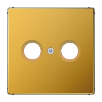 JUNG LS 990 Золото Накладка TV-FM розетки