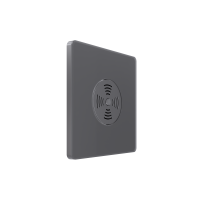 Systeme Electric Systeme Infinity Вулканический пепел Выключатель звуковой 100Вт с выдержкой времени