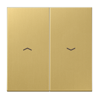 JUNG Клавиши для 2х-клавишного выключателя, в сборе