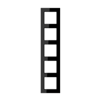 JUNG A creation Черная Рамка 5-ая