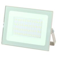 ЭРА LPR-031-0-65K-050 Прожектор светодиодный уличный 50Вт 4000Лм 6500К 183x131x36 белый