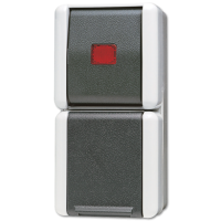 JUNG Комбинация - розетка и контрольный выключатель для накладного монтажа IP44