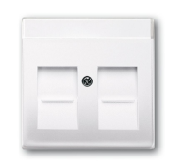 ABB BJB Basic 55 Бел Плата центральная  2-я для коммуникац розеток 0211 с суппортами 18**