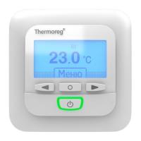 Терморегулятор Thermoreg TI-950 Терморегулятор Thermoreg TI-950
