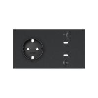 Simon 100 Черный матовый Кит 2 поста, фронт. Накладка на 1 роз.Schuko + 2 з/у USB C