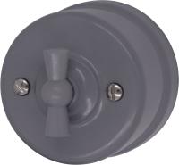 BIRONI Лизетта Пластик Титан Выключатель проходной 1-кл