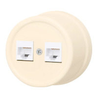 BIRONI Лизетта Пластик Песочное золото Розетка 1-ая RJ45