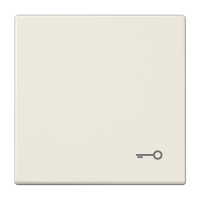 JUNG LS 990 Бежевая Клавиша 1-ая с символом КЛЮЧ