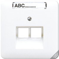 JUNG CD 500/CD plus Бежевая Накладка 2-ой наклонной ТЛФ/комп розетки с полем для надписи