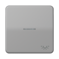 JUNG CD 500/CD plus Серая Клавиша 1-ая с/п с символом ОСВЕЩЕНИЕ