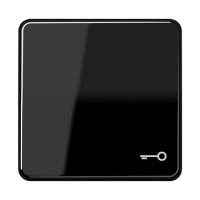 JUNG CD 500/CD plus Черная Клавиша 1-ая с символом КЛЮЧ