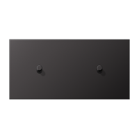 JUNG LS1912 Dark Центральная плата, 2 поста, для горизонтальной установки, тумблеры 1+1,цилиндр; метал. исполнение