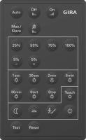 Gira Инфракрасный пульт