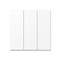 JUNG A Flow/A 550 Белый матовый Клавиша 3-ая