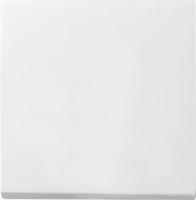 Gira S-55 Бел Клавиша 1-ая