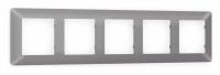 Рамка ALFA Line (Сталь матовый) 5-ая AF110505