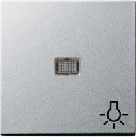 Gira Клав с больш окном пикт-мой Свет