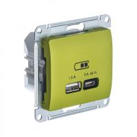 SE Glossa Фисташковый USB Розетка A + тип-C 45W высокоскор.заряд. QC, PD, мех.