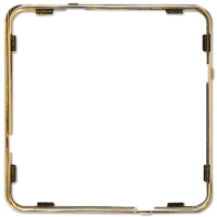 JUNG CD plus Полированное золото Рамка внутренняя цветная