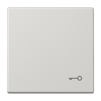 JUNG Клавиша с символом "ключ", светло-серый