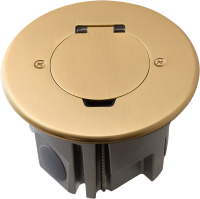 Лючок Surface 2 мод. (1 мод. 45х45 мм.), круглый, круглая крышка, золото, IP44, (с уст. набором)