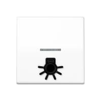 JUNG Клавиша с окошком для подсветки и символом "свет" белая