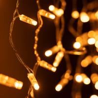 Arlight Светодиодная гирлянда ARD-EDGE-CLASSIC-2400x600-CLEAR-88LED-STD Yellow (230V, 6W) (Ardecoled, IP65)