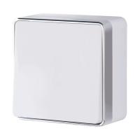 Выключатель одноклавишный Gallant белый W5010001