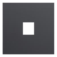 Лицевая панель для одиночной информационной розетки, черный сатин (35441 MB)