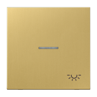 JUNG клавиша  с линзой, латунь Classic