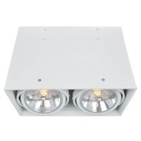 Потолочный светильник Arte Lamp Cardani A5936PL-2WH