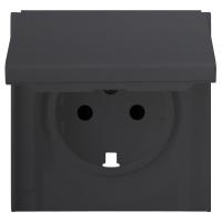 Лицевая панель для розетки 2к+з с крышкой, черный сатин (35634 MB)