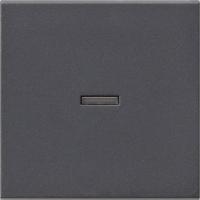 Gira S-55 Антрацит Клавиша 1-ая с подсветкой