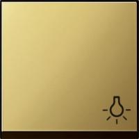 Gira Клавиша с пиктограммой "свет"