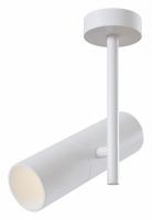 Потолочный светильник C020CL-01W Maytoni Elti