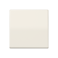 JUNG Клавиша для балансирного выключателя термопласт слоновая кость