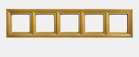 JUNG EcoProfi DECO Золото Рамка 5-ая