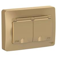 SE Blanca внутр Титан Розетка 2-ая с/з IP44 со шторками, 16А, 250В