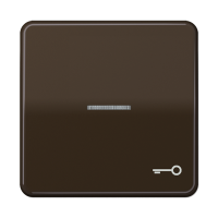 JUNG CD 500/CD plus Коричневая Клавиша 1-ая с/п с символом КЛЮЧ